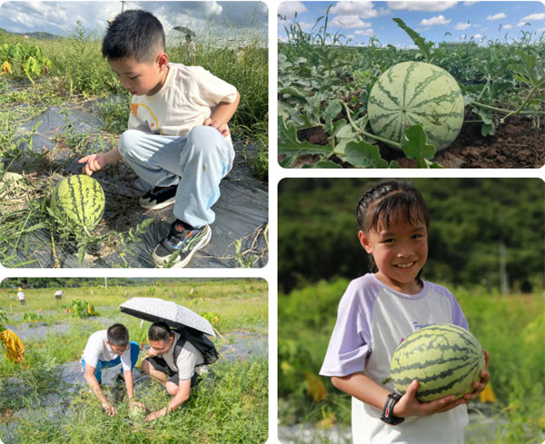 趣游盛夏，一路童行—2024年廣東博皓親子游   -12